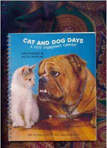Cat and Dog Days 1979 Calendar art by Walter Chandoha  