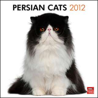 Persian Cats 2012 Wall Calendar 9781421676111  