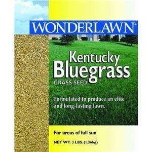  Kentucky Bluegrass Grass Seed 