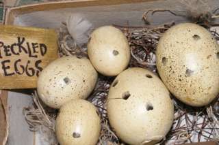 PriMiTiVe COUNTRY Folk Art Gift Box of Speckled Eggs  