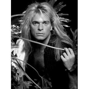  David Lee Roth by Richard E. Aaron, 16x21