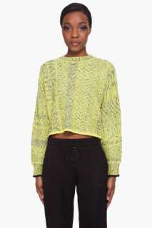 Alexander Wang Geometric Jacquard Sweater for women  