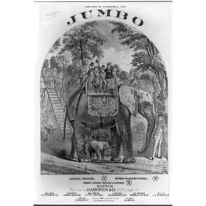   c1882,Jumbo the Elephant,P.T. Barnum & Bailey Circus