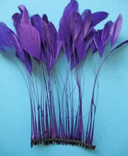 30 PCS. REGAL PURPLE STRIPPED COQUE ROOSTER FEATHERS  