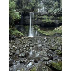  Russell Falls Cascade Through a Cool Temperate Rainforest 