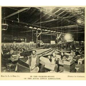  1901 Print Citrus Packing House Plant Azusa California 
