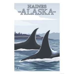  Orca Whales #1, Haines, Alaska Premium Poster Print, 24x32 