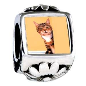  Soufeel Peek a Boo Cat Italian Charm Jewelry