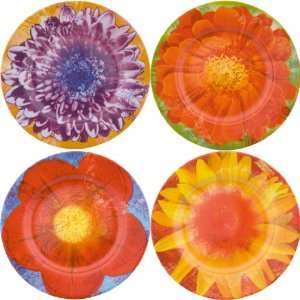  Waechtersbach Petal Power 8.25 Inch Salad Plates, Set Of 4 