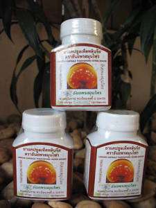 300 Capsules Compound Lingzhi Natural Herbal Supplement  