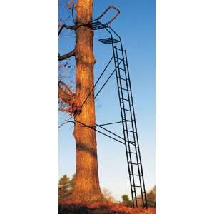  20 Standard Ladder Stand