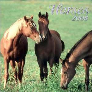  Horses 2008 Mini Wall Calendar