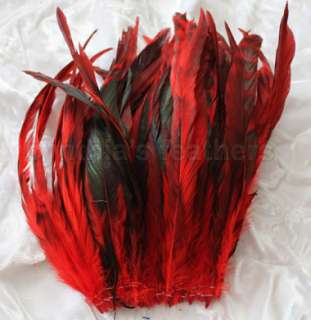   CHINCHILLA COQUE rooster Feathers, top rated Cynthias Feathers  