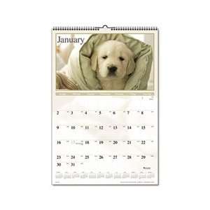  AAGDMW16728 Visual Organizer® CALENDAR,WALL,MTH,PUPPIES 