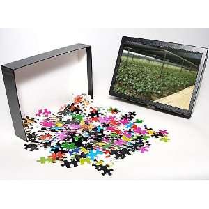   Puzzle of Plant and orchid nursery from Robert Harding Toys & Games