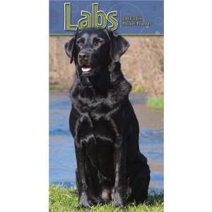  (4x7) Labs 2013 14 Pocket Planner Calendar