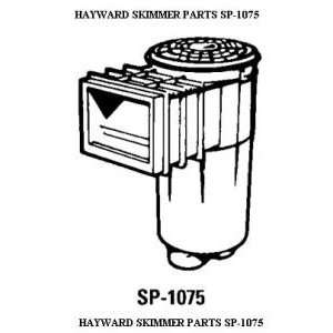  1.25Inlong Skimmer Screws