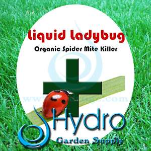 Spider Mite Killer Liquid Ladybug Makes 5 Gallons BEST  