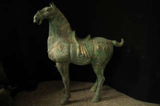 Chinese Bronze Antique Tang Dynasty Horse Statue Collection