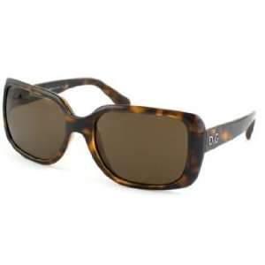  D&G Sunglasses DD8067 / Frame Tortoise Lens Brown 