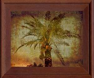 Framed Canvas Picture, Still Life, Plant, Palm Tree  