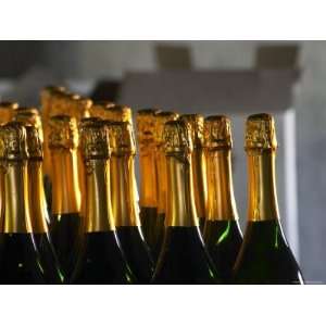 Bottles of Sparkling Wine, Bodega Carlos Pizzorno Winery 