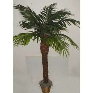  8 Real Wood Date palm Tree